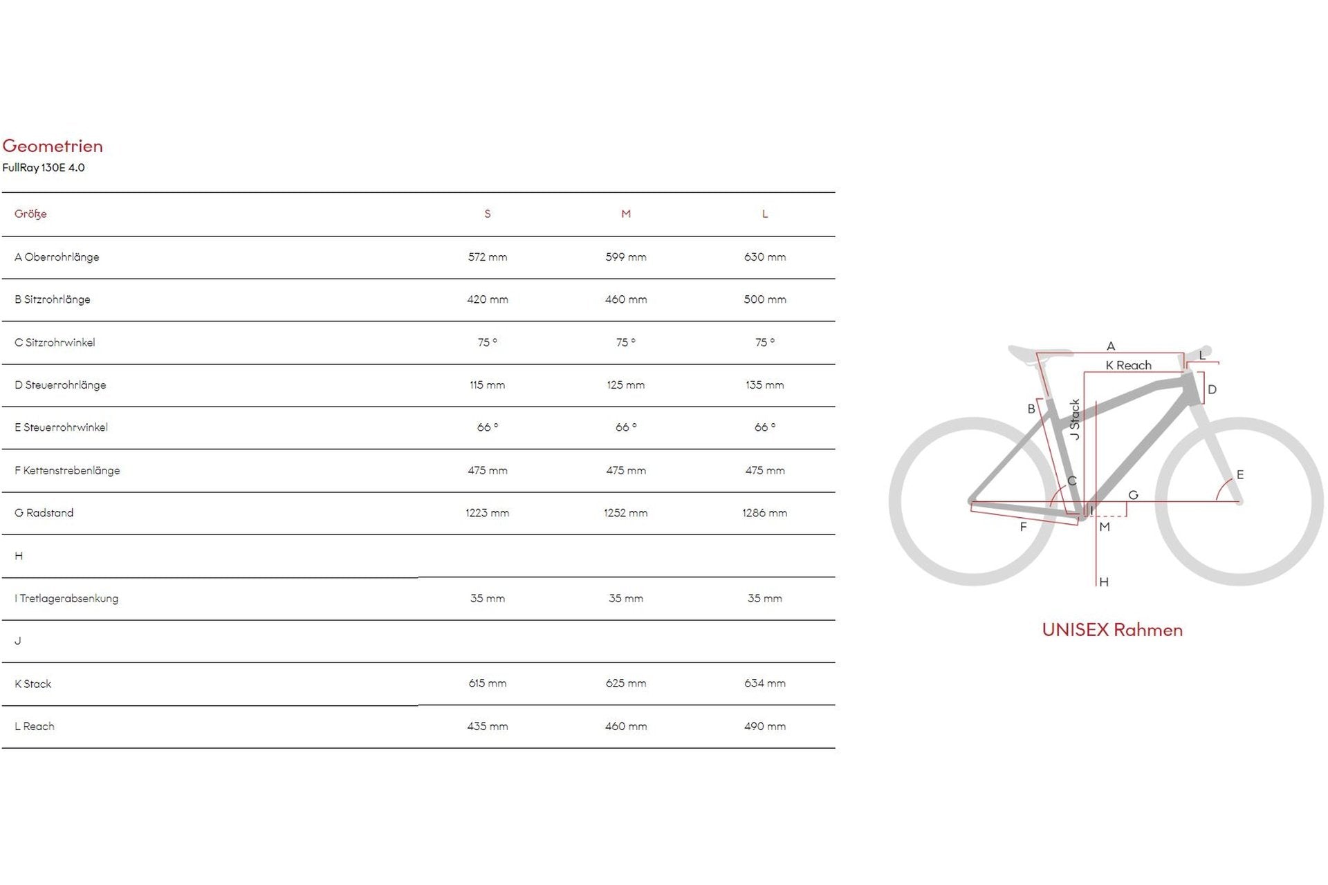 Raymon FullRay 130E 4.0 - 500 Wh - 29 Zoll - Fully