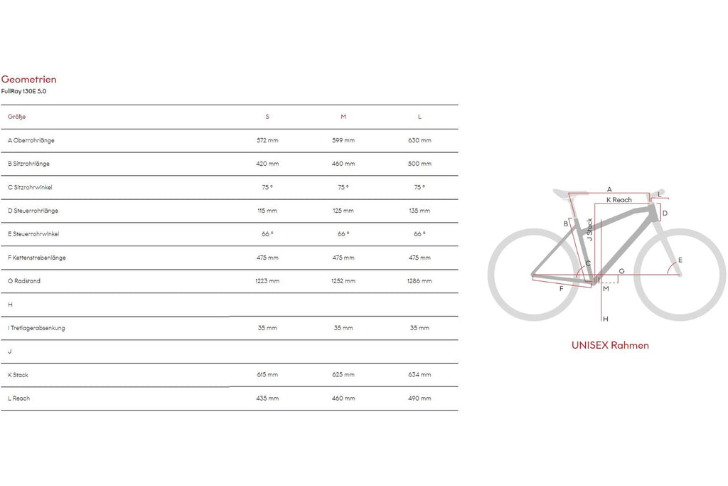 Raymon FullRay 130E 5.0 - 500 Wh - 29 Zoll - Fully