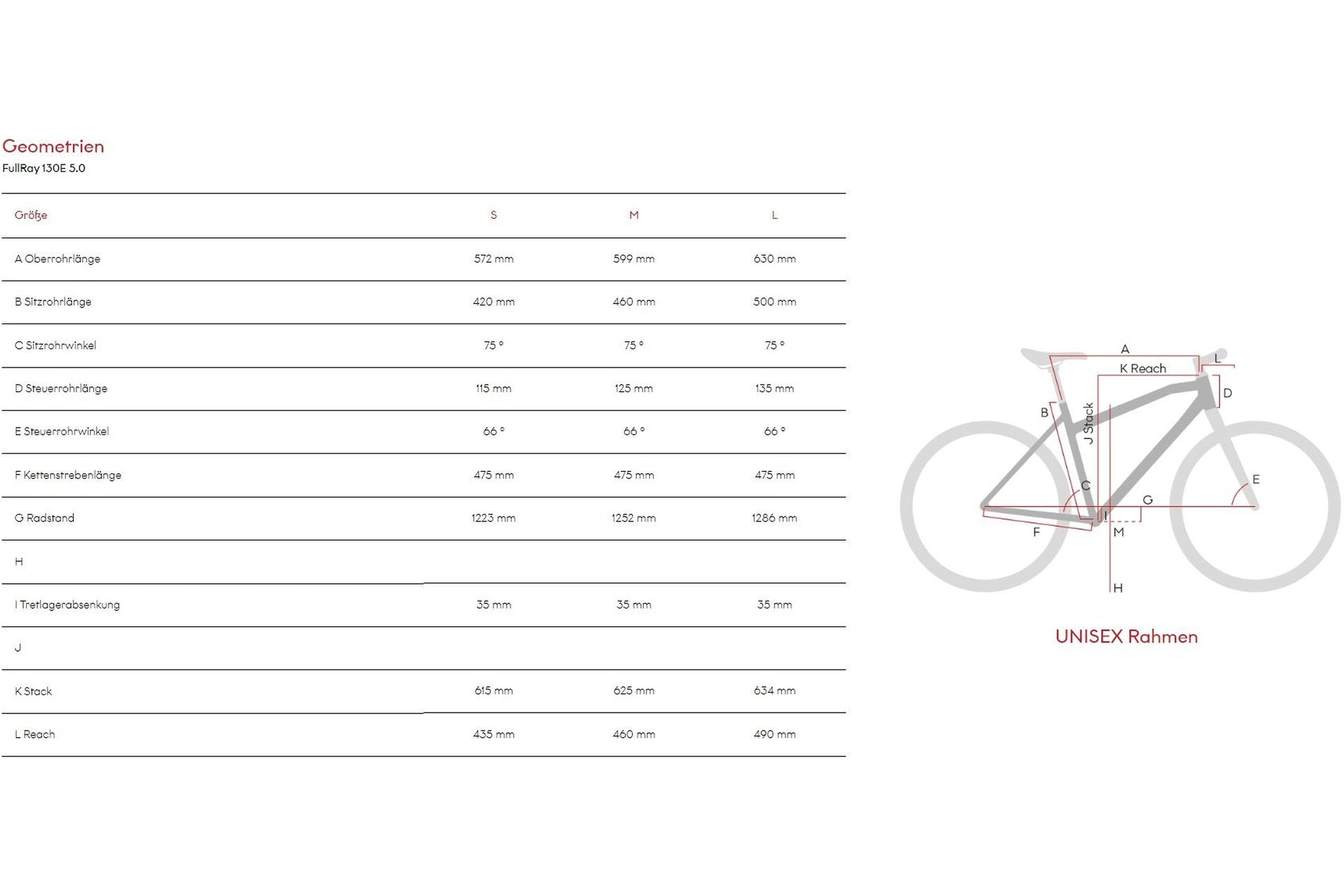 Raymon FullRay 130E 5.0 - 500 Wh - 29 Zoll - Fully