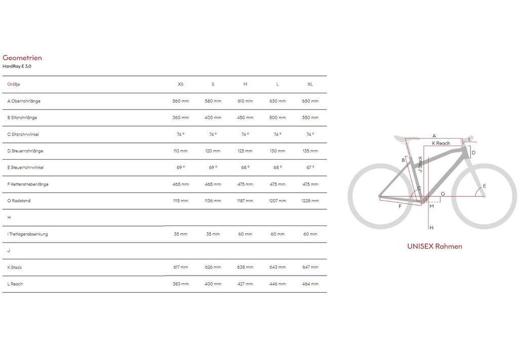 Raymon HardRay E 3.0 - 500 Wh - 29 Zoll - Diamant