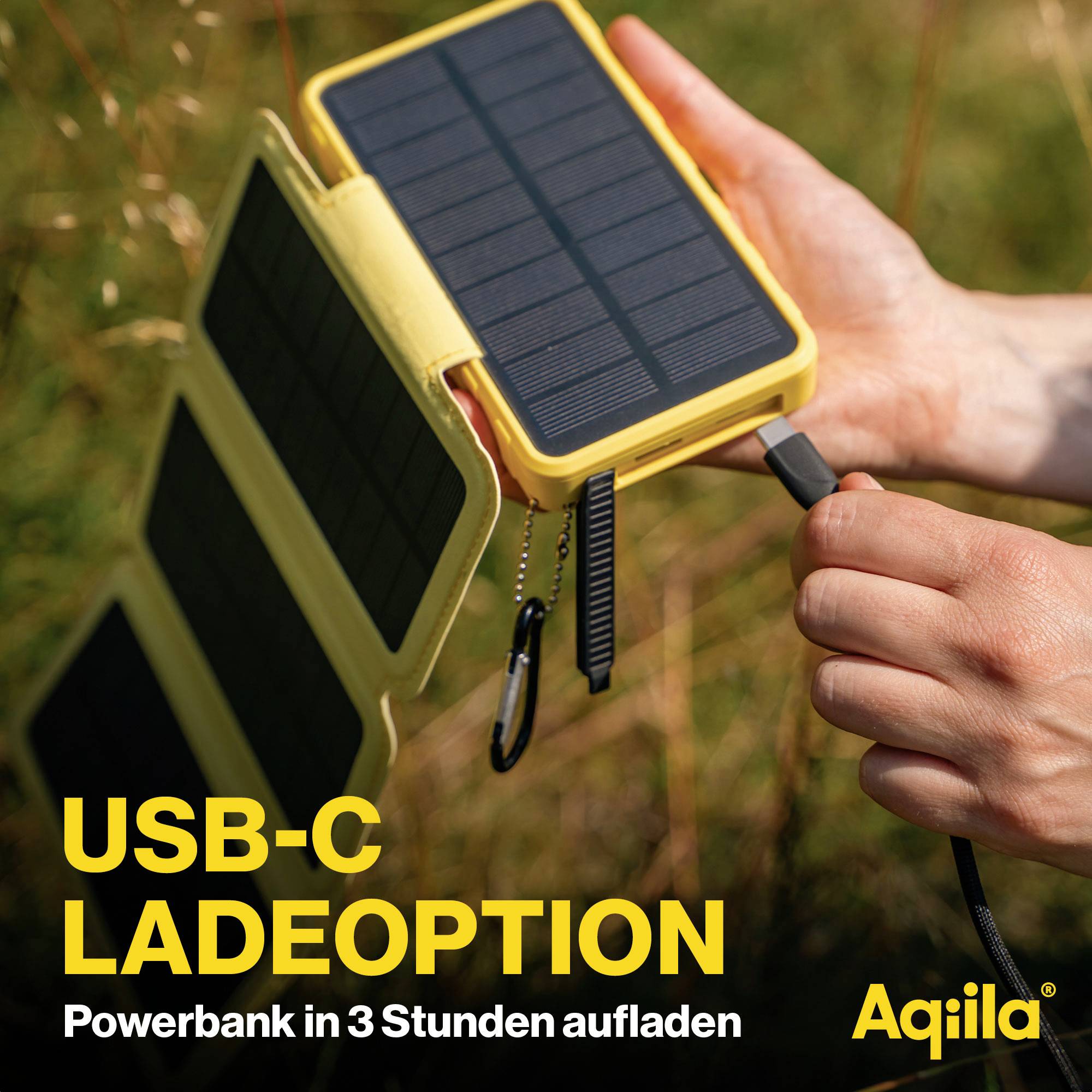Aqiila Powerbird BS10 AQPBPBIBS1SG973 Solar-Powerbank 6 W 10000 mAh